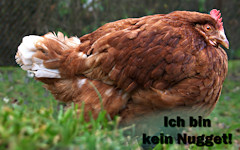 Huhn